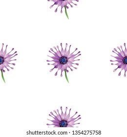 Purple Osteospermum daisybushes. Vector illustration. Vector illustration. Floral botanical flower. Wild leaf wildflower isolated. Exotic tropical hawaiian jungle. Seamless background pattern. Fabric 