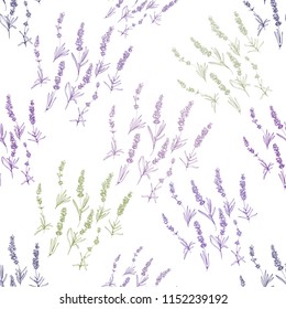 Purple outline floral seamless with lavender herbs. Vector pattern or card design. Vintage botanical sketch illustration on white background.