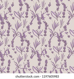 Purple outline floral seamless pattern with lavender flowers sketch. Botanical pen illustration on soft white background. Vector pattern or card design. Vintage book sketch.