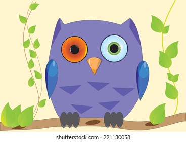 purple owl with different eye 