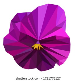 The purple pansy flower is drawn using triangles, low poly pansy flower