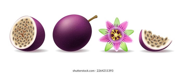 Purple passion fruit and flower. Violet granadilla whole half slice and passionflower elements isolated on white background, closeup maracuja fruits items vector illustration