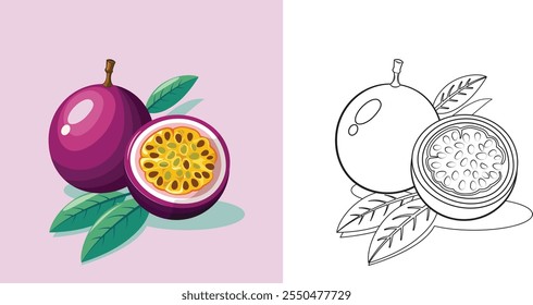 A purple passion fruit with a green leaf on top (Coloring page)