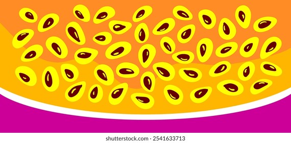 Purple passion fruit with half piece. Healthy sweet, vegans. Vector illustration. Tropical exotic food ingredient for dessert decor, cooking book