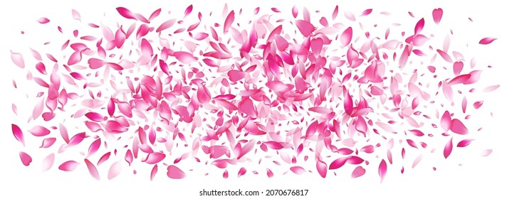 Purple Peach Petal Vector Panoramic Background. Transparent Japan Rose Petal Illustration. Lotus Petal 3d Texture. Fly Cherry Petal Cover.