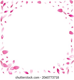 Fondo blanco del vector de Petal de color púrpura. Pancarta Pastel Blossom Rose Petal. Diseño de verano de Sakura Petal. Marco de Apple Petal moderno.