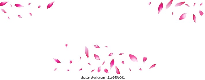 Purple Peach Petal Vector White Background. Pastel Spa Flower Petal Texture. Cherry Petal Valentine Congratulation. Modern Apple Petal Cover.