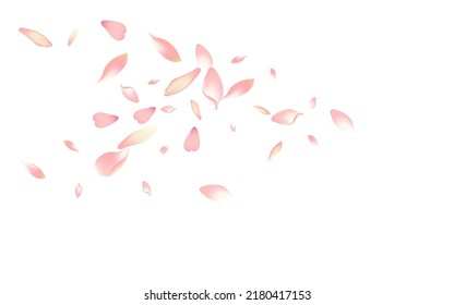 Purple Peach Petal Vector White Background. Pink Flying Cherry Petal Card. Lotus Petal Summer Illustration. Fresh Sakura Petal Frame.