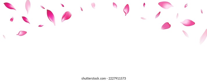 Fondo blanco del vector de Petal de color púrpura. Tarjeta de color Spring Cherry Petal. Plantilla De Caída De Rose Petal. Ilustración de Sakura Petal en el suelo.