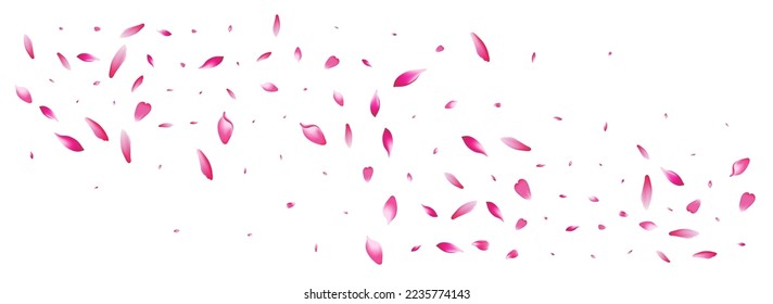 Purple Peach Petal Vector White Background. White Flying Flower Petal Card. Sakura Petal Spring Poster. Valentine Lotus Petal Texture.