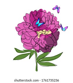 Purple peony flower outline sketch with butterfly vector illustration graphics summer flower icon