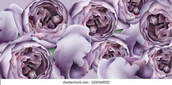 Purple peony flowers background watercolor Vector. Romantic floral invitation or greeting card decoration. Women day, Valentines Day, sales and other events