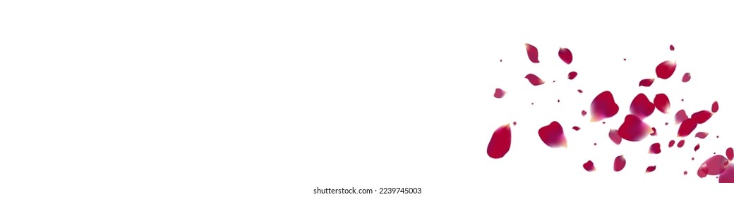 Purple Petal Falling Vector White Panoramic Background. Blur Flower Illustration. Delicate Peach Flying Frame. Beautiful Cherry Summer Pattern.