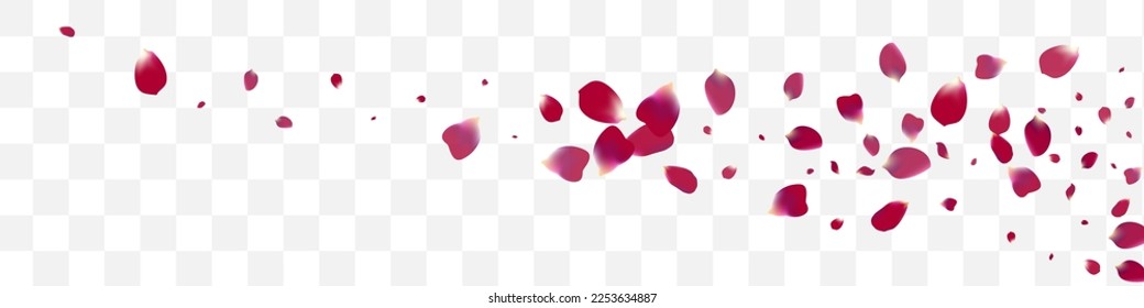 Purple Petal Fly Vector Transparent Panoramic Background. Japan Cherry Texture. Delicate Sakura Flying Poster. Beautiful Floral Falling Cover.