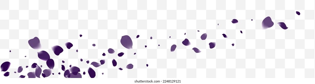 Purple Petal Spring Vector White Transparent Panoramic Background. Falling Blossom Banner. Yellow Tulip Magenta Backdrop. Delicate Flower Night Yellow.
