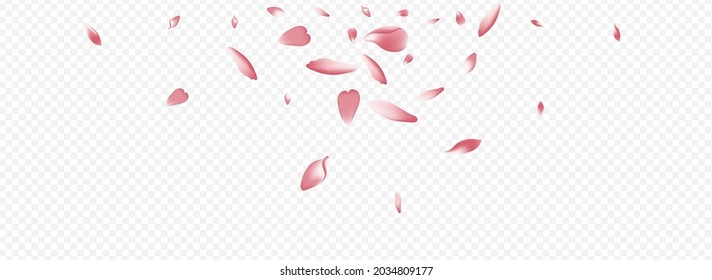 Purple Petal Vector Panoramic Transparent Background. Floral Down Backdrop. Peach Soft Poster. Flower Wind Texture. Light Sakura Spa Illustration.