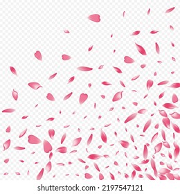 Purple Petal Vector Transparent Background. Leaf Blow Congratulation. Sakura SummerDrop Cover. Confetti Aroma Banner. White Rosa Dream Poster.