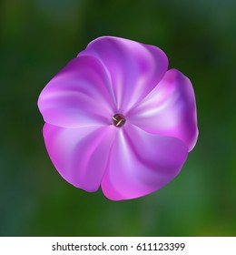 Purple photo realistic flower isolated on blurred green background. Made with gradient mesh.