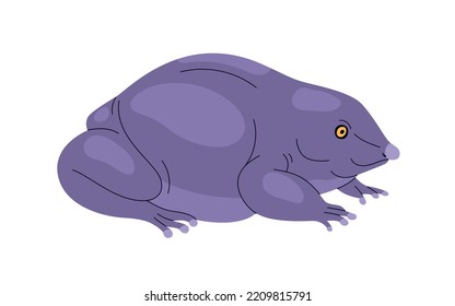 Purple pignose frog. Indian violet froggy with smooth skin. Exotic amphibian reptile with pointed nose, Nasikabatrachus sahyadrensis. Realistic flat vector illustration isolated on white background