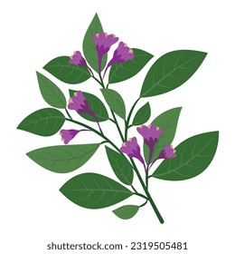 Purple and pink flowers floral branch, twig. Beautiful delicate fluffy blooms, blossomed herb, gentle wildflower.