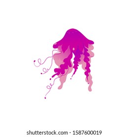 Purple pink jellyfish drawing isolated on white background - elegant marine sea animal with long beautiful tentacles and gradient texture - vector illustration.