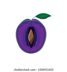 ilustración de medio sector de ciruela púrpura con una hoja verde, vectorial