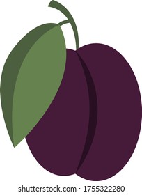 Purple plum, illustration, vector on white background