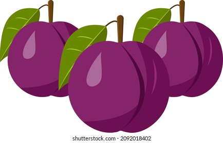 Purple plum, illustration, vector on a white background.