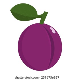 Purple plum, illustration, vector on white background