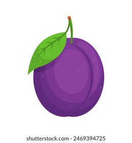 Purple plum isolated on transparent background. Tropical fruit icon for farm market. Vector illustration of stone fruit family in flat style.