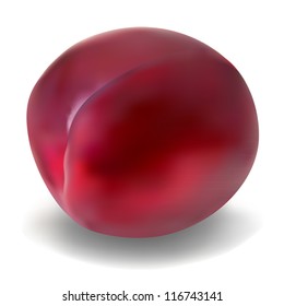 Purple plum isolated on a white background
