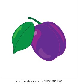 Purple plum isolated on white background. Vector illustration in flat style.