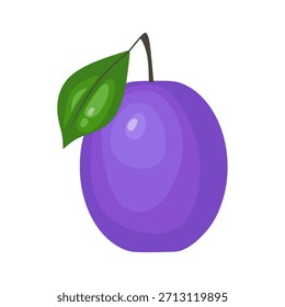 Vetor De Ameixa Roxa. Arte De Ameixa Roxa. Perfeito para embalagens de alimentos, marca de frutas, gráficos de estilo de vida saudável, visuais de receita e designs de mercado frescos