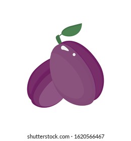 purple  plum vector illustration fruit
