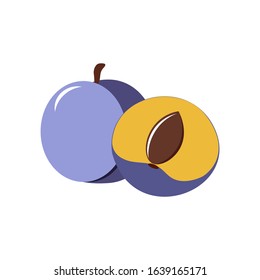 purple plums, vector illustration. one whole fruit and half isolated on a white background.