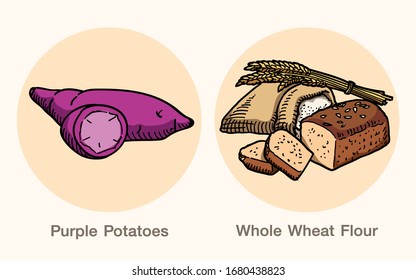 Purple Potato and Whole wheat flour are full of nutrients, used in cooking, Collection set for use illustration vector and simple design.