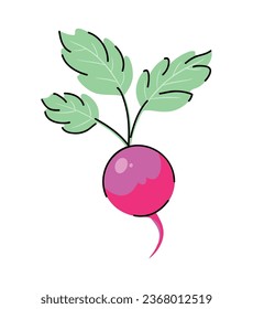 purple radish design vector isolated