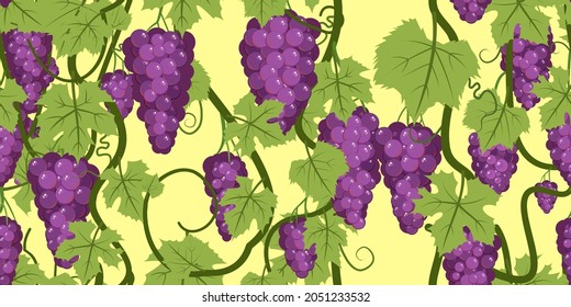 Purple red grape bunches on the vine. Branches with berries on a dense bush. Young vineyard. Sweet autumn harvest. On dark background. Seamless horizontal composition. Vector