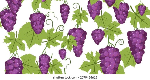 Sujetos de uva roja púrpura en la vid. Ramas con bayas en un arbusto denso. Aislado sobre fondo blanco. Viña joven. Dulce cosecha de otoño. Composición horizontal perfecta. Vector