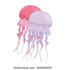 Purple and red jellyfishs isolated on the white background