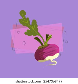 Purple reddish illustration. Vegetable, ground, growth, food. Farming concept. Vector illustration can be used for topics like garden, kitchen, cooking