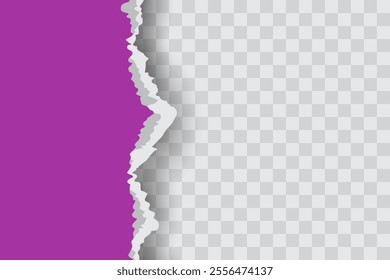 Purple Ripped Paper Background in Left Position for Flyer, Banner, Infographic, Website, Ads Banner or Etc. High Quality Background Vector Illustration