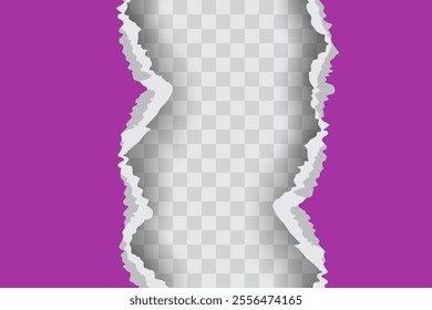 Purple Ripped Paper Background in Left and Right Position for Flyer, Banner, Infographic, Website, Ads Banner or Etc. High Quality Background Vector Illustration