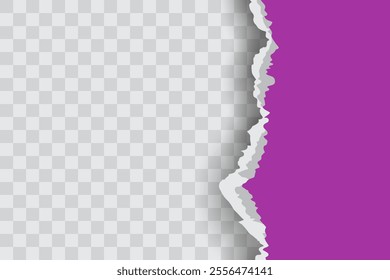 Purple Ripped Paper Background in Right Position for Flyer, Banner, Infographic, Website, Ads Banner or Etc. High Quality Background Vector Illustration