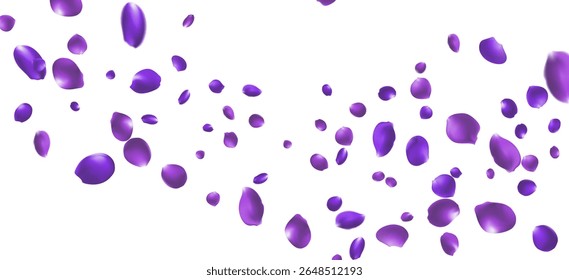 Purple Rose Falling Vector Transparent Background. Flying Peach Banner. Delicate Flower Beauty Backdrop. Purple RoseFall Cover.