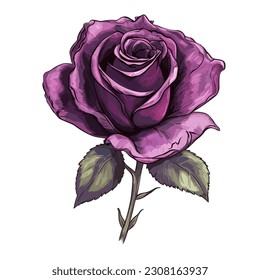 Purple Rose Flower Illustration Vector