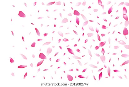 Purple Rose Petal Vector White Background. Color Floor Cherry Petal Pattern. Peach Petal Spa Design. Free Flower Petal Frame.