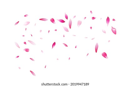 Fondo blanco del vector Petal de rosa morado. Tapa rosada fresca de Petal. Marco de sueño de la flor Petal. Textura romántica de Lotus Petal.