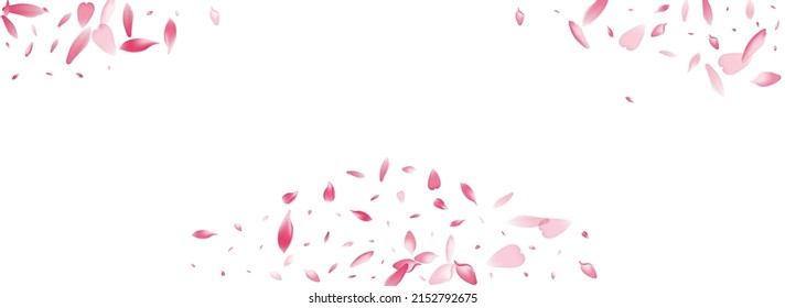 Purple Rose Petal Vector White Background. Pastel Floral Flower Petal Congratulation. Peach Petal Delicate Template. Valentine Cherry Petal Illustration.