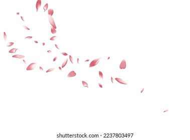 Purple Rose Petal Vector White Background. White Spring Flower Petal Design. Peach Petal Air Texture. Flying Apple Petal Backdrop.